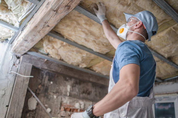 Best Specialty Insulation in Agua Dulce, TX