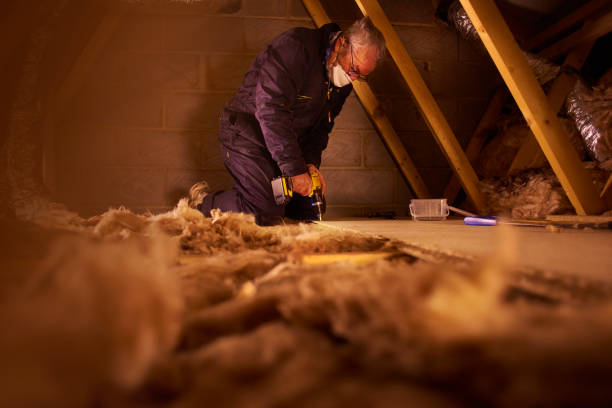 Best Types of Insulation in Agua Dulce, TX